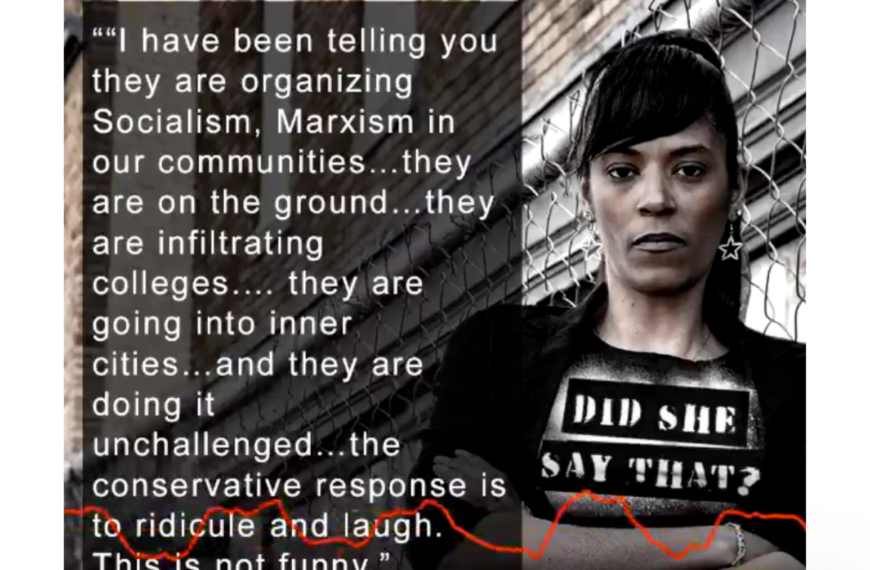 Scandinavia Socialism Myth - Outspoken cover