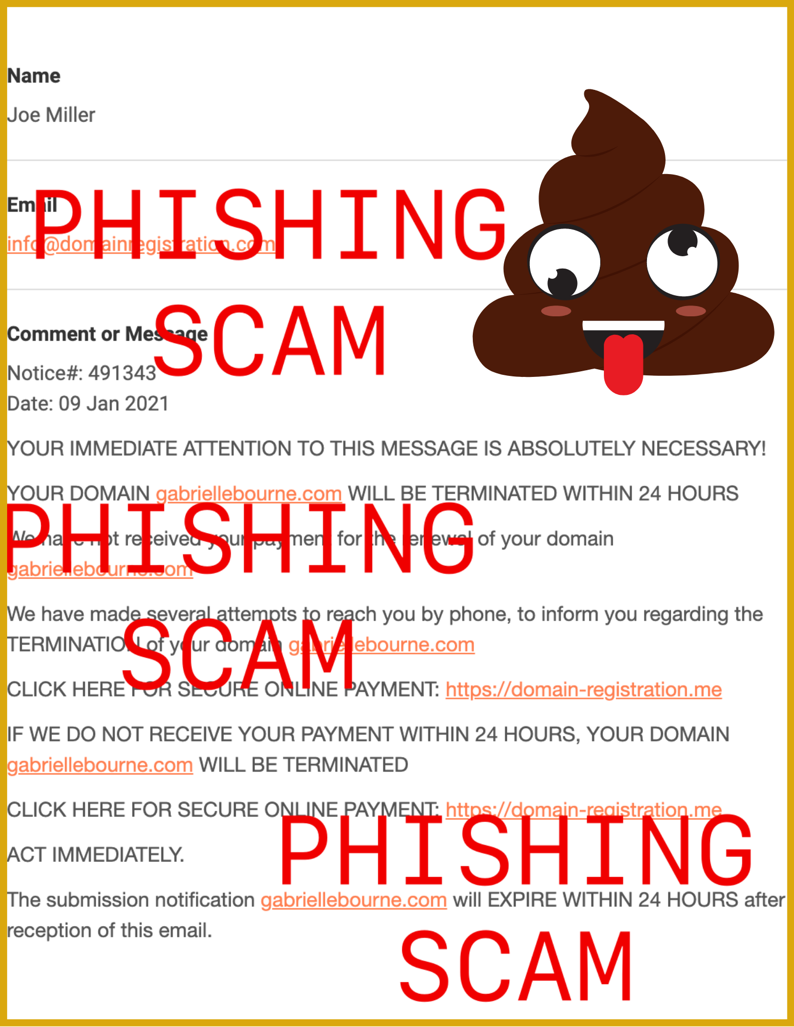 Phishing Scam (Joe Miller) - Domain Registration scam