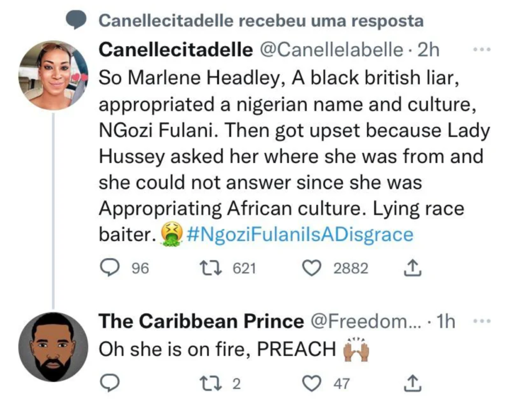 Ngozi Fulani is a Fraud - Gabrielle Bourne Media