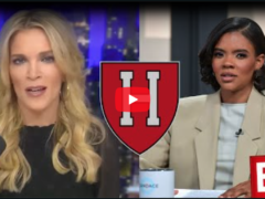 Candace Owens is the Biggest Loser - Megyn Kelly fight